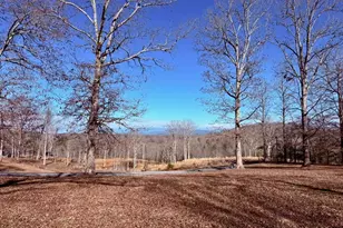 C4 Briar Woods Ln, Blue Ridge, GA 30513 - Photo 1