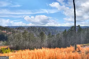 28 Mountaintown Overlook, Ellijay, GA 30540 - Photo 54