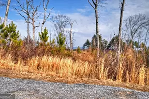 28 Mountaintown Overlook, Ellijay, GA 30540 - Photo 2