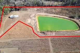 01 Penny Morris Rd, Baxley, GA 31513 - Photo 2