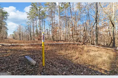 4431 Jim Hood Road, Gainesville, GA 30506 - Photo 22