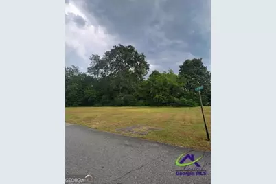 0 Progressive Avenue, Hawkinsville, GA 31036 - Photo 4