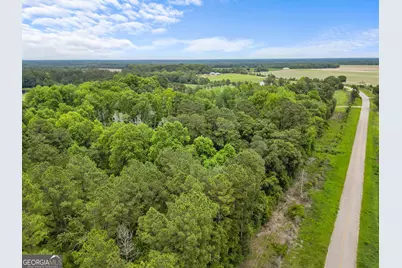 0 Boykin Road, Sylvania, GA 30467 - Photo 6