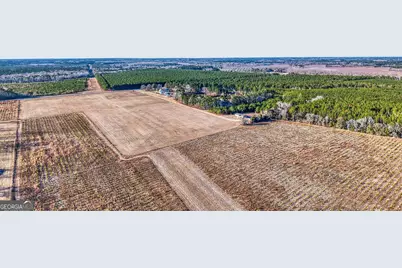 2051 Oliver Highway, Newington, GA 30446 - Photo 20