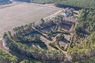 2051 Oliver Hwy, Newington, GA 30446 - Photo 28