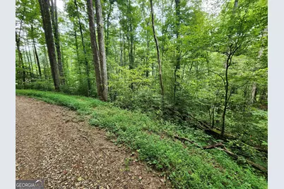 Tract 2A Poplar Cove Trail, Suches, GA 30572 - Photo 12