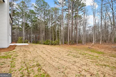 79 Lamb Road, Moreland, GA 30259 - Photo 44