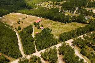 254 Coffee County Club Rd, Hortense, GA 31543 - Photo 12