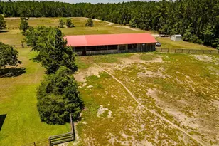 254 Coffee County Club Rd, Hortense, GA 31543 - Photo 4