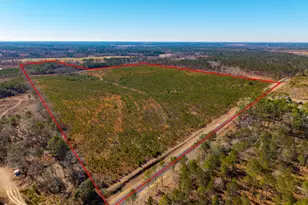 1 Henry Moxley Rd, Cobbtown, GA 30420 - Photo 1