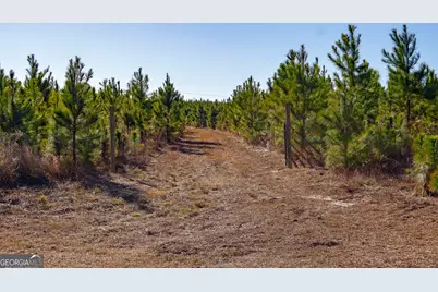 1 Henry Moxley Road, Cobbtown, GA 30420 - Photo 22