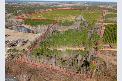 1 Henry Moxley Road, Cobbtown, GA 30420 - Photo 16