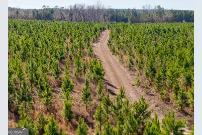 1 Henry Moxley Road, Cobbtown, GA 30420 - Photo 6