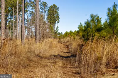 1 Henry Moxley Road, Cobbtown, GA 30420 - Photo 2