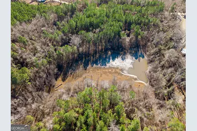 1 Henry Moxley Road, Cobbtown, GA 30420 - Photo 12