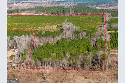 1 Henry Moxley Road, Cobbtown, GA 30420 - Photo 14