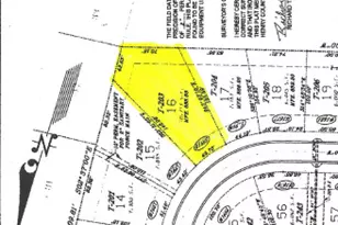 1669 Graystone Dr, Hampton, GA 30228 - Photo 4