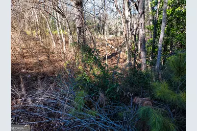 0 Tallapoosa Street, Buchanan, GA 30113 - Photo 18