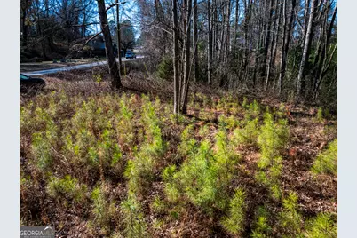 0 Tallapoosa Street, Buchanan, GA 30113 - Photo 14