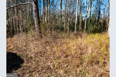 0 Tallapoosa Street, Buchanan, GA 30113 - Photo 4