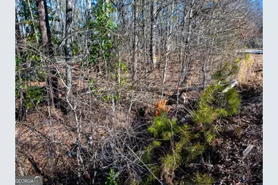 0 Tallapoosa Street, Buchanan, GA 30113 - Photo 16