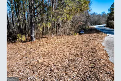 0 Tallapoosa Street, Buchanan, GA 30113 - Photo 6