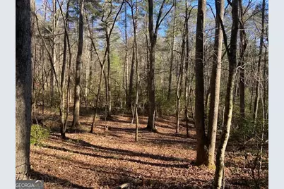 0 Whippoorwill Lane, Cleveland, GA 30528 - Photo 22