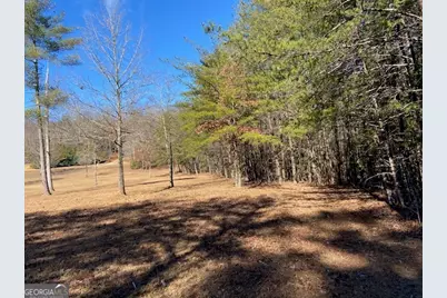 0 Whippoorwill Lane, Cleveland, GA 30528 - Photo 36