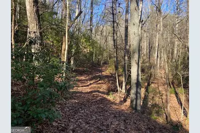 0 Whippoorwill Lane, Cleveland, GA 30528 - Photo 24