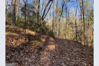 0 Whippoorwill Lane, Cleveland, GA 30528 - Photo 8