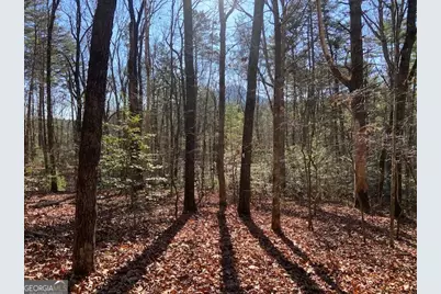 0 Whippoorwill Lane, Cleveland, GA 30528 - Photo 12
