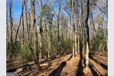 0 Whippoorwill Lane, Cleveland, GA 30528 - Photo 14