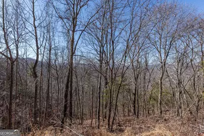 Lot 370 Thirteen Hundred, Blairsville, GA 30512 - Photo 22