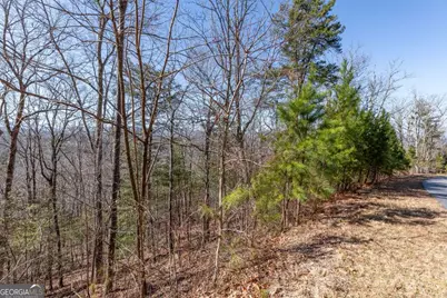 Lot 370 Thirteen Hundred, Blairsville, GA 30512 - Photo 26
