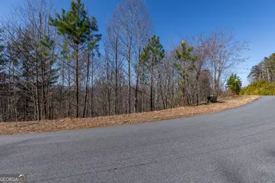 Lot 370 Thirteen Hundred, Blairsville, GA 30512 - Photo 40