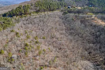 Lot 370 Thirteen Hundred, Blairsville, GA 30512 - Photo 1