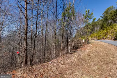 Lot 370 Thirteen Hundred, Blairsville, GA 30512 - Photo 12