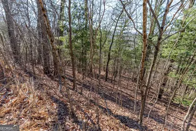Lot 370 Thirteen Hundred, Blairsville, GA 30512 - Photo 24