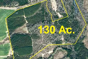 0 Sardis Church Rd, Kite, GA 31049 - Photo 1