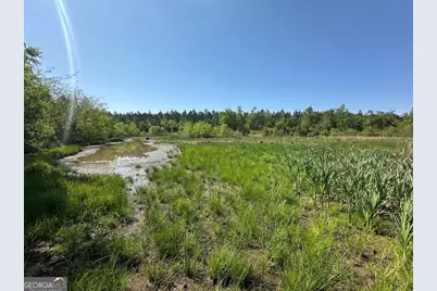 0 Sardis Church Road, Kite, GA 31049 - Photo 2