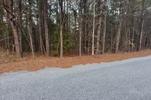 0 Pelican Cove, Midway, GA 31320 - Photo 1