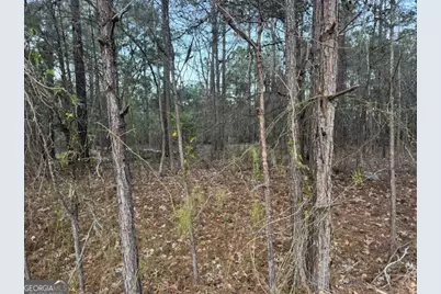 0 Pelican Cove, Midway, GA 31320 - Photo 2