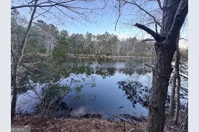 0 Pelican Cove, Midway, GA 31320 - Photo 6