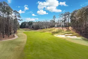 1051 Homestead, Greensboro, GA 30642 - Photo 4