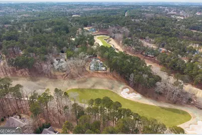 1051 Homestead, Greensboro, GA 30642 - Photo 68
