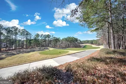 1050 Reubens Court, Greensboro, GA 30642 - Photo 42