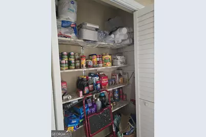 479 Mitchell Loop, Bluffton, GA 39824 - Photo 14