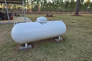 479 Mitchell Loop, Bluffton, GA 39824 - Photo 46