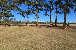 479 Mitchell Loop, Bluffton, GA 39824 - Photo 2