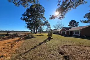 479 Mitchell Loop, Bluffton, GA 39824 - Photo 10